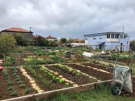 Mestni izolski vrtovi kmalu bogatejši za kažeto 2